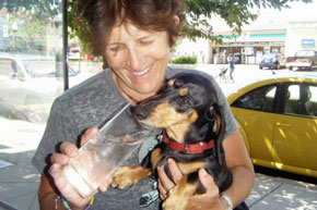 Marion Winik, photo by Chris Hart, University of Baltimore